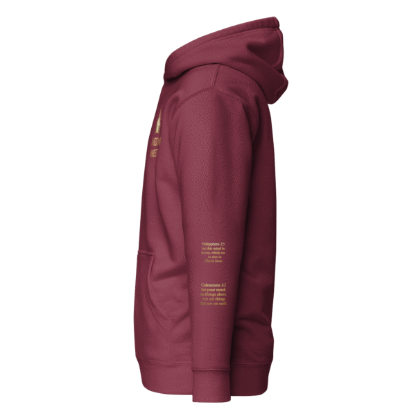 Colossians 3:2 Hoodie - Image 4